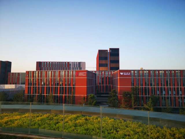 浙江供应防水背胶地面施工