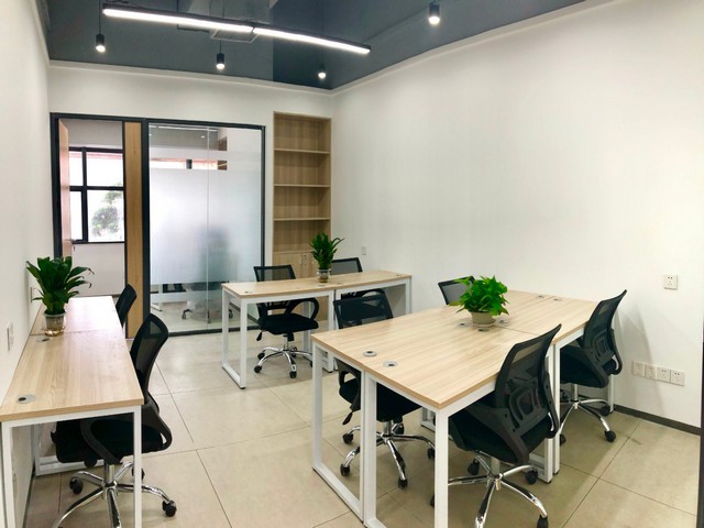 济南山农25小麦种子招商