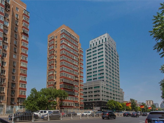 天津日本进口桧木原材料